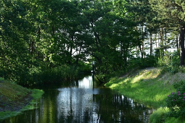 Libeedo : explorez des produits innovants pour intensifier vos plaisirs